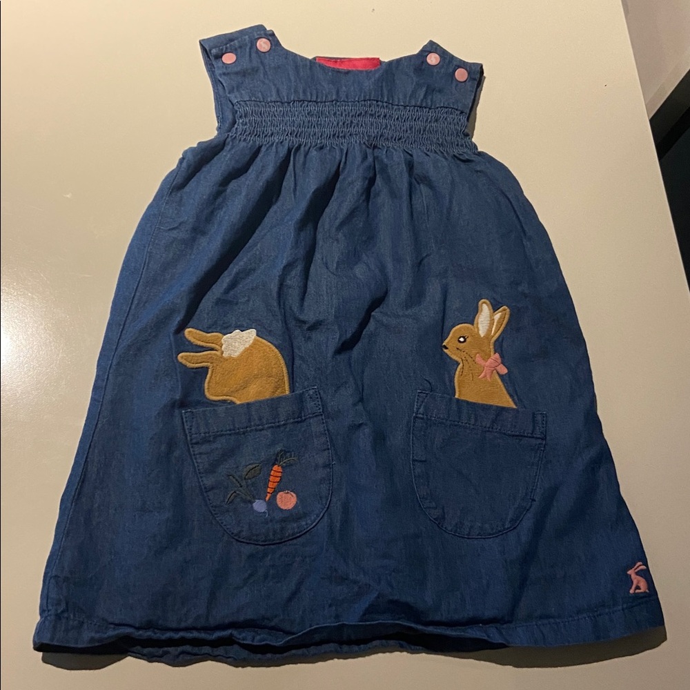 Joules The world of Beatrix Potter bunny dress